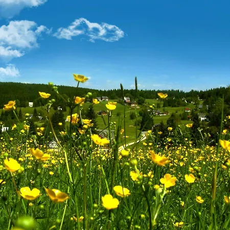 Muehlleithen كلينغنتال