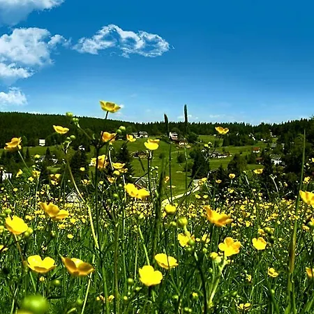 מלון Muehlleithen 3*