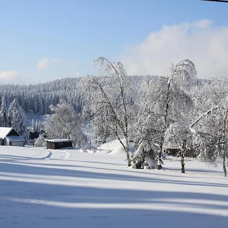 Otel Muehlleithen Klingenthal