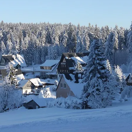 فندق Muehlleithen 3*