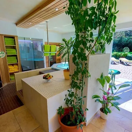 فندق Muehlleithen 3*