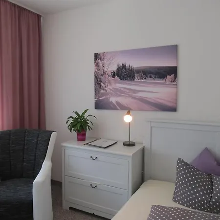 Muehlleithen Otel Klingenthal